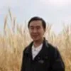 Danny Lim
