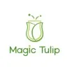 magic tulip