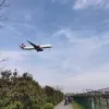 Fusheng Bai