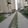Ankit Mishra