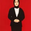 Anisahdwiazis dwiazis