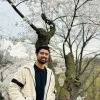 Mukesh Shah