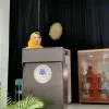Shifa Ali