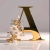 Anum Ather