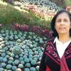 mohini chawla