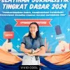Gusti Ayu Komang Dita Widayanti