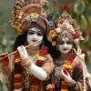 CA Prashant Jha
