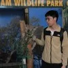kaixin lin