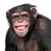 Ethan Akins