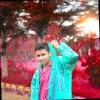 Adisheshu Golla
