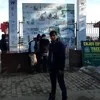 subhash petwal