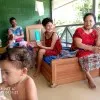 Pala Manugei