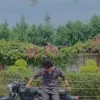 LOKESH PRAJAPATI ↗