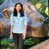 Veena
