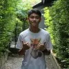 Wuttiwat Nipitchayounggoorn