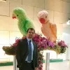 Harshal Shah
