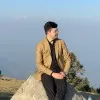 Faisal Hadi