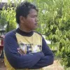 Reja Pujianto