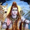 Suman Sarkar