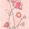 Romit Anand