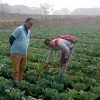 SONU KUMAR GUPTA