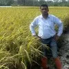 pankaj singh