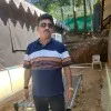 Akhilesh Tripathi