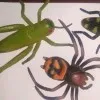 Entoscorp Consultancy
