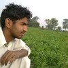 kashi warraich