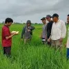 Wahyu Poetrailham