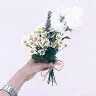 Huong My