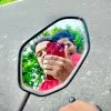 Hassan Alam
