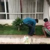 Manikandan
