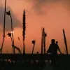 Urjit Paul Chowdhury