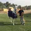 Sultan Khaled