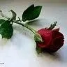 sunita
