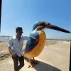 Preet Kokam
