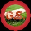 GS Cricket Bat Repairs