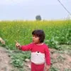 Arfa Nasir