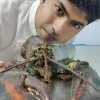 Mahammad Asif