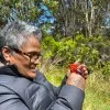 Kekuhi Kealiikanakaole