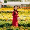 Truong Kim Ly