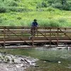 Chandramohan Muthyala