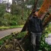 Akhmad Zaen