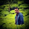 Shyam Mohan