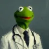 KT Frog