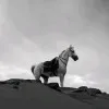 Aya Jad