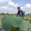 Lakhu Vadhiya