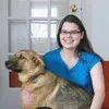 Julie Fogel