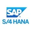 MNN SAP Training